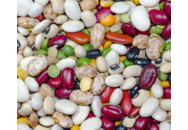 Fagioli